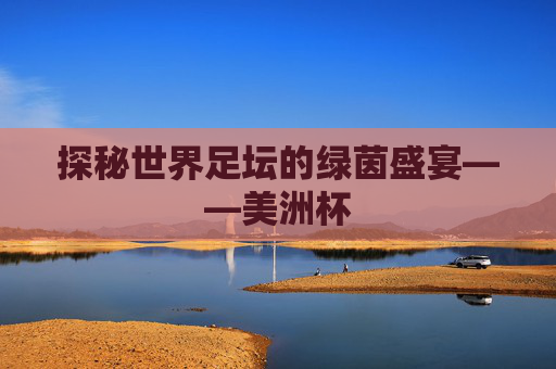 探秘世界足坛的绿茵盛宴——美洲杯