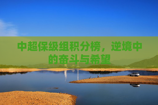 中超保级组积分榜，逆境中的奋斗与希望
