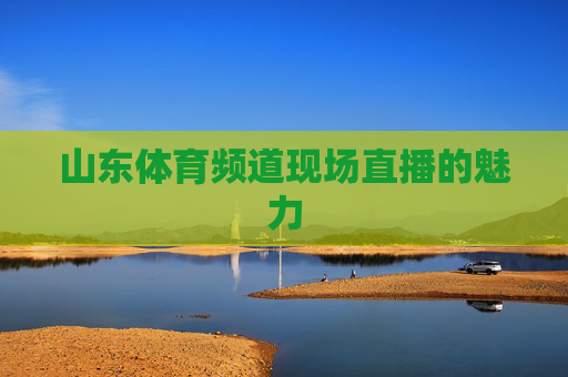 山东体育频道现场直播的魅力