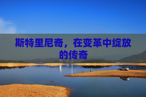 斯特里尼奇，在变革中绽放的传奇