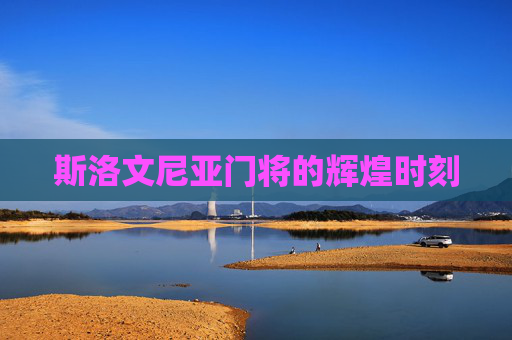 斯洛文尼亚门将的辉煌时刻