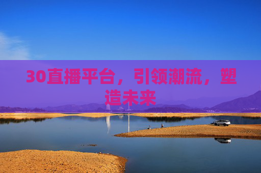 30直播平台，引领潮流，塑造未来