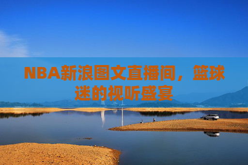 NBA新浪图文直播间，篮球迷的视听盛宴