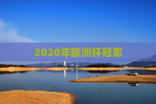 2020年欧洲杯冠军